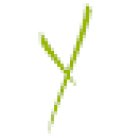 Yakibérico 'La Japona'